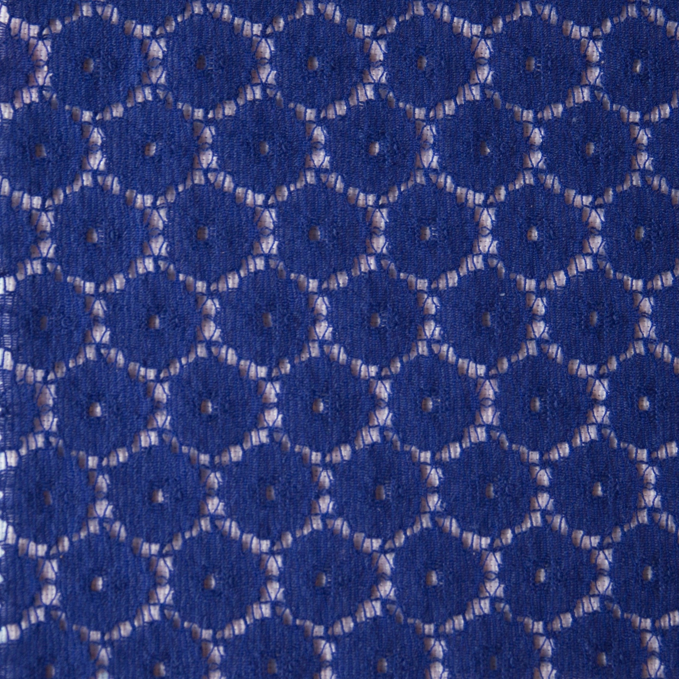 cobalt cotton lace Fabric Swatch