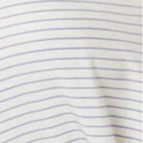ivory and blue silk stripe Fabric Swatch